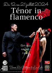 Ténor in flamenco Thtre de l'Optimist Affiche