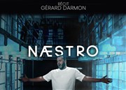 Naestro Chteau de la Buzine Affiche