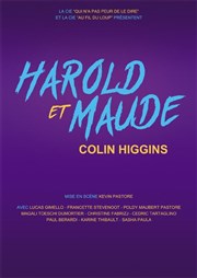 Harold et Maud Thtre de la Cit Affiche