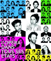 L'Opéra dans tous ses états Thtre du Grand Pavois Affiche