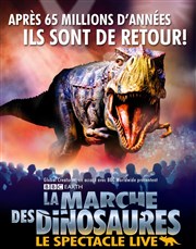 La marche des dinosaures Halle Tony Garnier Affiche