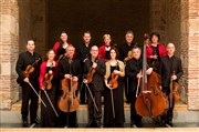 Quatuor à cordes de l'Orchestre de chambre de Toulouse Espace Croix Baragnon - Salle Bleue Affiche