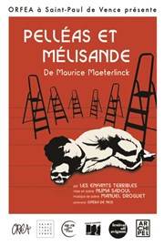 Pélléas et Mélisande Thtre Acte 2 Affiche