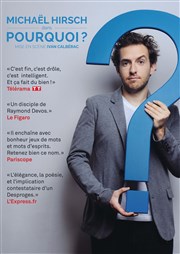 Michaël Hirsch dans Pourquoi ? Essaon-Avignon Affiche