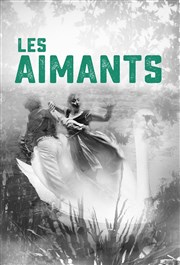 Les Aimants IVT International Visual Thtre Affiche