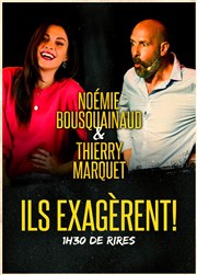 Ils exagèrent Thtre Daudet Affiche