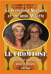 Le Fromtose Thtre de la violette Affiche