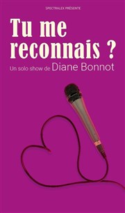 Diane Bonnot dans Tu me reconnais ? La Nouvelle Seine Affiche