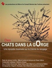 Des chats dans la gorge Thtre de Nesle - grande salle Affiche