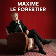 Maxime Le Forestier Horizon Pyrnes Affiche