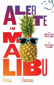 Alerte au Malibu Comdie de Grenoble Affiche