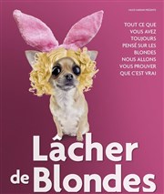 Lâcher de blondes La Grande Comdie - Salle 2 Affiche