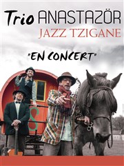 Trio Anastazör Thtre Monsabr Affiche