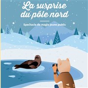 La surprise du Pôle Nord Thtre de l'Embellie Affiche