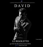 David Le Rigoletto Affiche