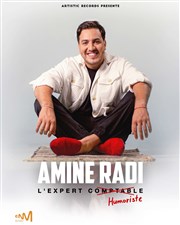 Amine Radi dans L'expert humoriste Thtre de la Salle Bleue Affiche