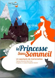 La Princesse sans Sommeil Thtre Pixel Affiche