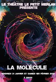 La Molécule Thtre du Petit Merlan Affiche