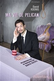 Ma vie de pélican La Petite Croise des Chemins Affiche