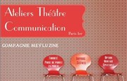 Stage de Communication Prise de parole Cours Cline Martineau Affiche