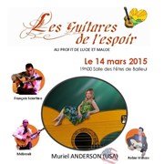 Les guitares de l'espoir Salle des Ftes Bailleul Affiche