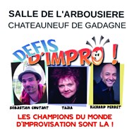 Défis d'impro L'Arbousire Affiche