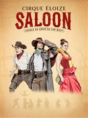 Saloon Thtre Alexandre Dumas Affiche