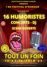 Festival Tout un foin | Pass 2 jours Festival Tout un foin Affiche