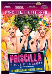 Priscilla folle du désert Casino de Paris Affiche