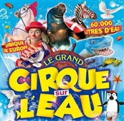 Le Cirque sur l'Eau | - Carentan Chapiteau Le Cirque sur l'eau  Carentan Affiche