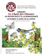 Les chants d'oiseaux au Moyen Âge Eglise des Billettes Affiche