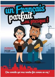 Un français parfait... ou presque ! Thtre Ronny Coutteure Affiche