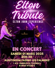 The Elton Tribute Casino Les Palmiers Affiche