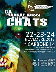 Ça marche aussi avec des chats... Carbone14 Affiche