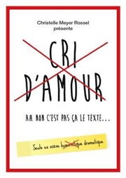 Cri d'amour ah non c'est pas ça le texte... Thatre Pandora Affiche