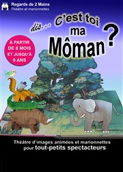 Dis... C'est toi ma Môman ? L'ATN Affiche