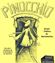 Pinocchio Le Raimu Affiche