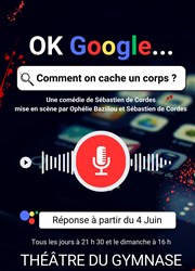 OK Google comment on cache un corps ? Petit gymnase au Thatre du Gymnase Marie-Bell Affiche