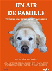 Un air de famille Ple Culturel Jean Ferrat Affiche