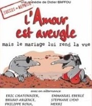 L'amour est aveugle (mais le mariage lui rend la vue) La Comdie de Lille Affiche