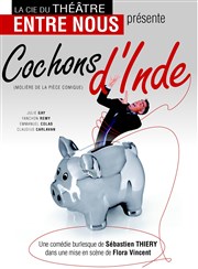 Cochons d'inde Thtre Francis Gag - Grand Auditorium Affiche