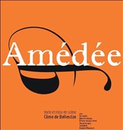 Amédée Thtre de la Tempte - Cartoucherie Affiche