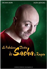 Sacha Judaszko dans Le Fabuleux destin de Sacha le rouquin Le Petit Beverley Affiche