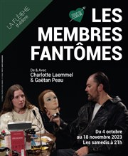 Les membres fantômes Thtre La Flche Affiche