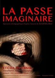 La passe imaginaire Le Tremplin - Avignon Affiche