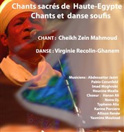 Cheikh Zein Mahmoud La Reine Blanche Affiche