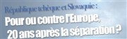 République Tchèue et Slovaquie : pour ou contre l'Europe 20 ans après la séparation ? Centre Tchque Affiche