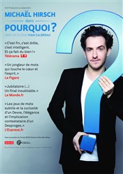 Michaël Hirsch dans Pourquoi ? Le Petit Thtre de Nivelle Affiche