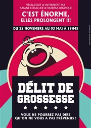 Délit de grossesse Le Rideau Rouge Affiche