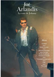 Joe Arlandis : la voix de Johnny Hallyday Domaine de La Terrasse Affiche